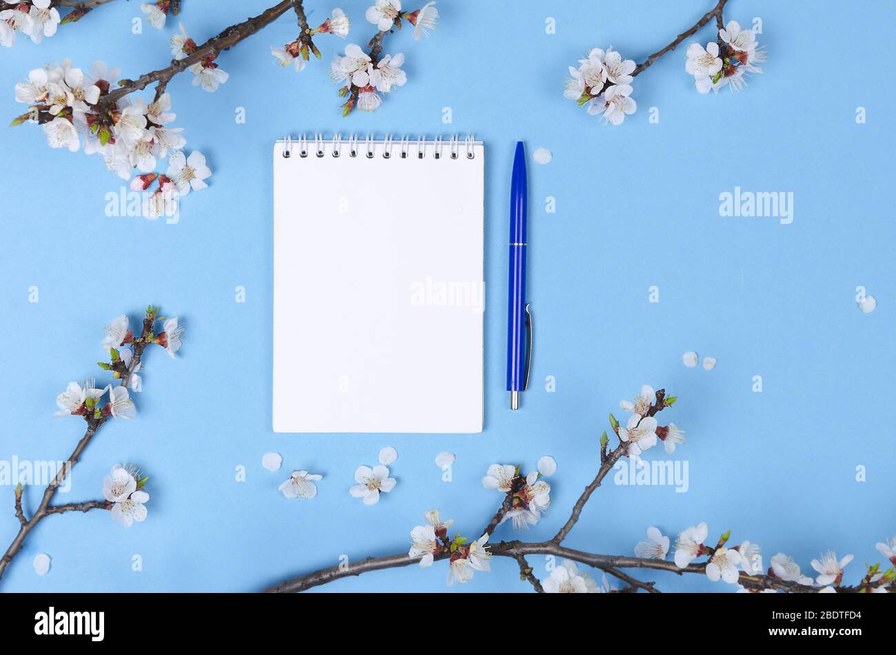 Liste de souhaits pour les plans futurs. composition de la couche plate avec fleurs et bloc-notes Banque D'Images