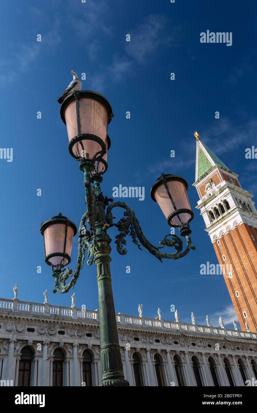 Lampost orné devant le Campanile de San Marco Piazza, dans un lumineux après-midi ensoleillé d'octobre Banque D'Images
