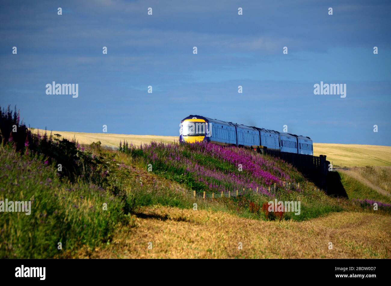 Train de voyageurs du nord-est ScoTrail sur la route à travers la campagne angus. Banque D'Images