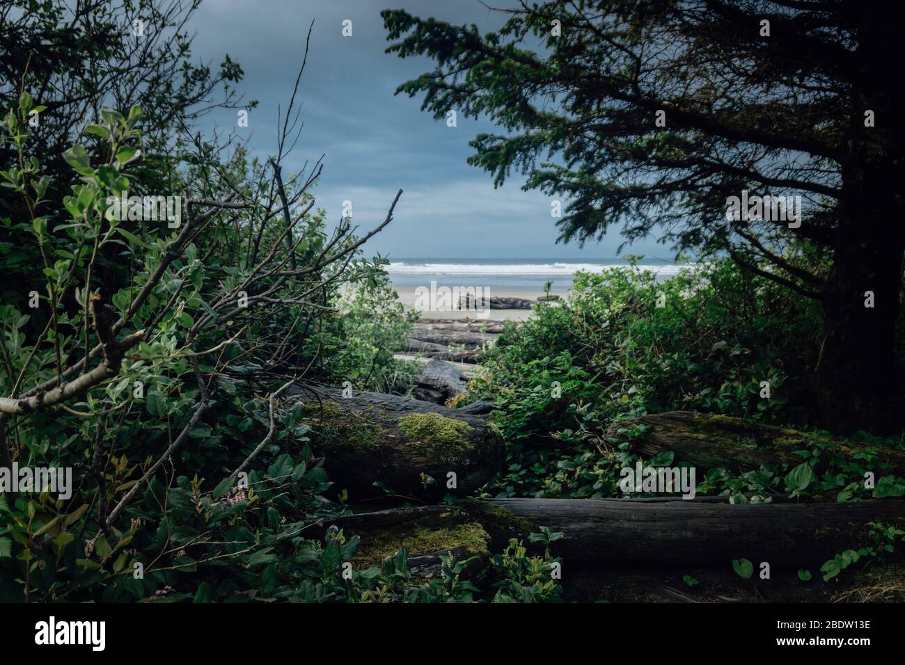 Un emplacement exceptionnel dans une partie magique du monde! Belle plage sur l'île de Vancouver au Canada Banque D'Images