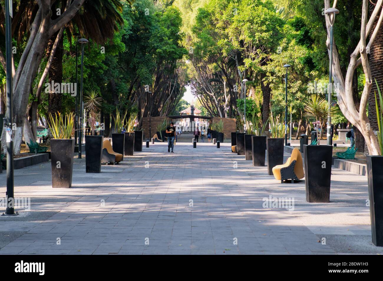 Parc urbain Paseo Bravo à Puebla avec très peu de personnes en période de quarantaine pour Covid-19, Puebla de Zaragoza, Mexique, en avril 9, 2020. Banque D'Images