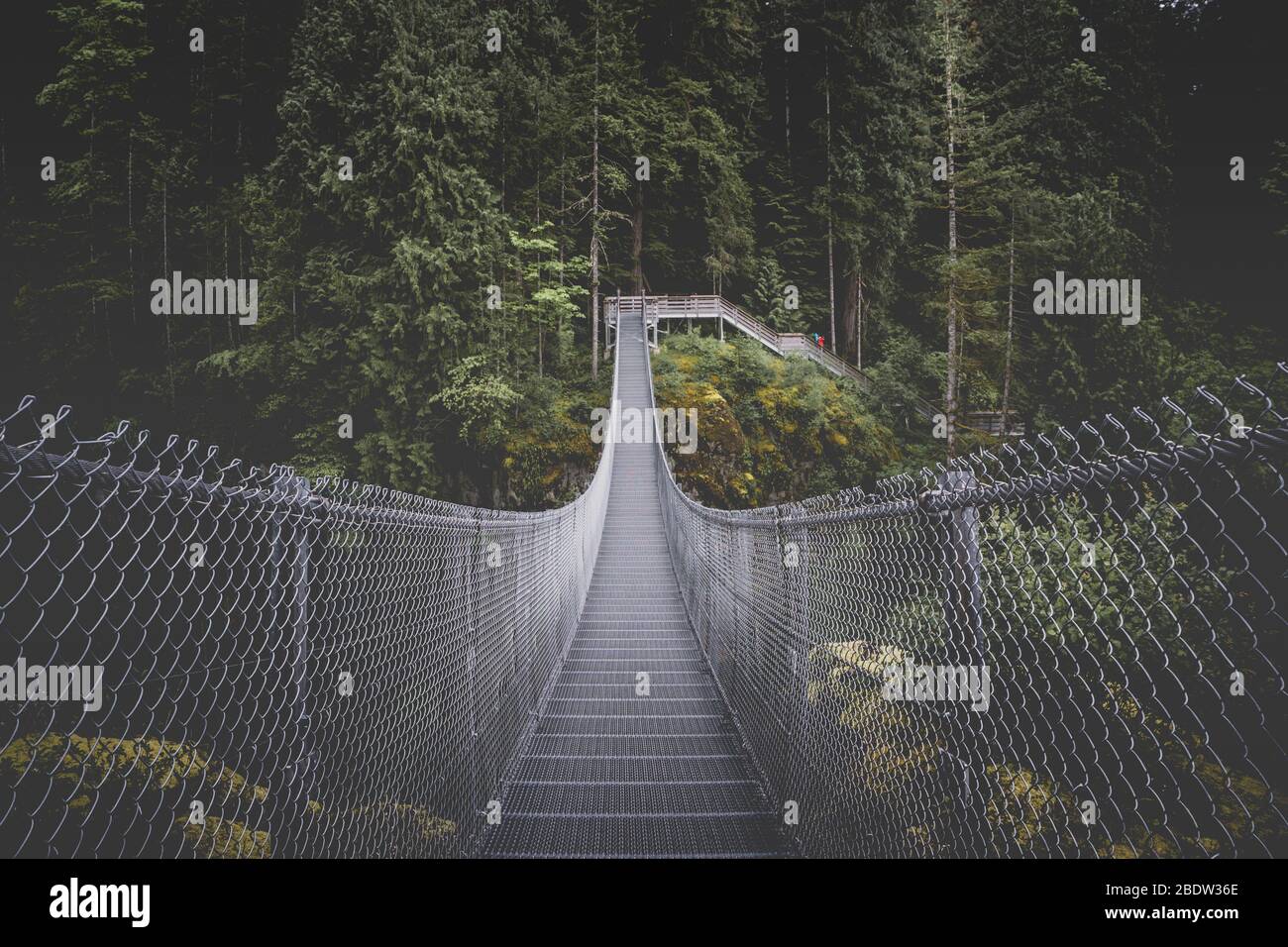 Parc provincial Elk Falls et aire protégée sur l'île de Vancouver au Canada Banque D'Images