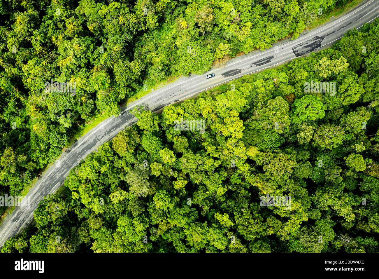 Vue aérienne sur une route de la forêt tropicale dans le nord du Queensland. Banque D'Images