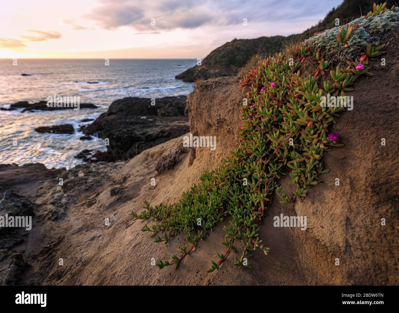 Image en couleur d'un beau coucher de soleil avec vue sur l'océan Pacifique en Californie du Nord. Banque D'Images