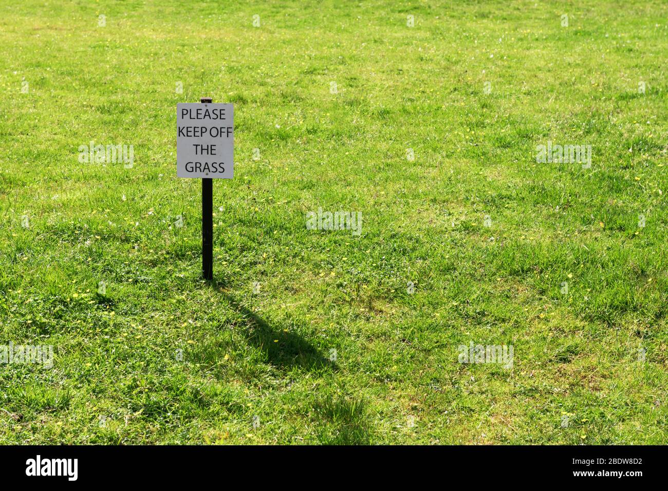 Laissez le panneau herbe sur un parc verdoyant de pré-pelouse Banque D'Images