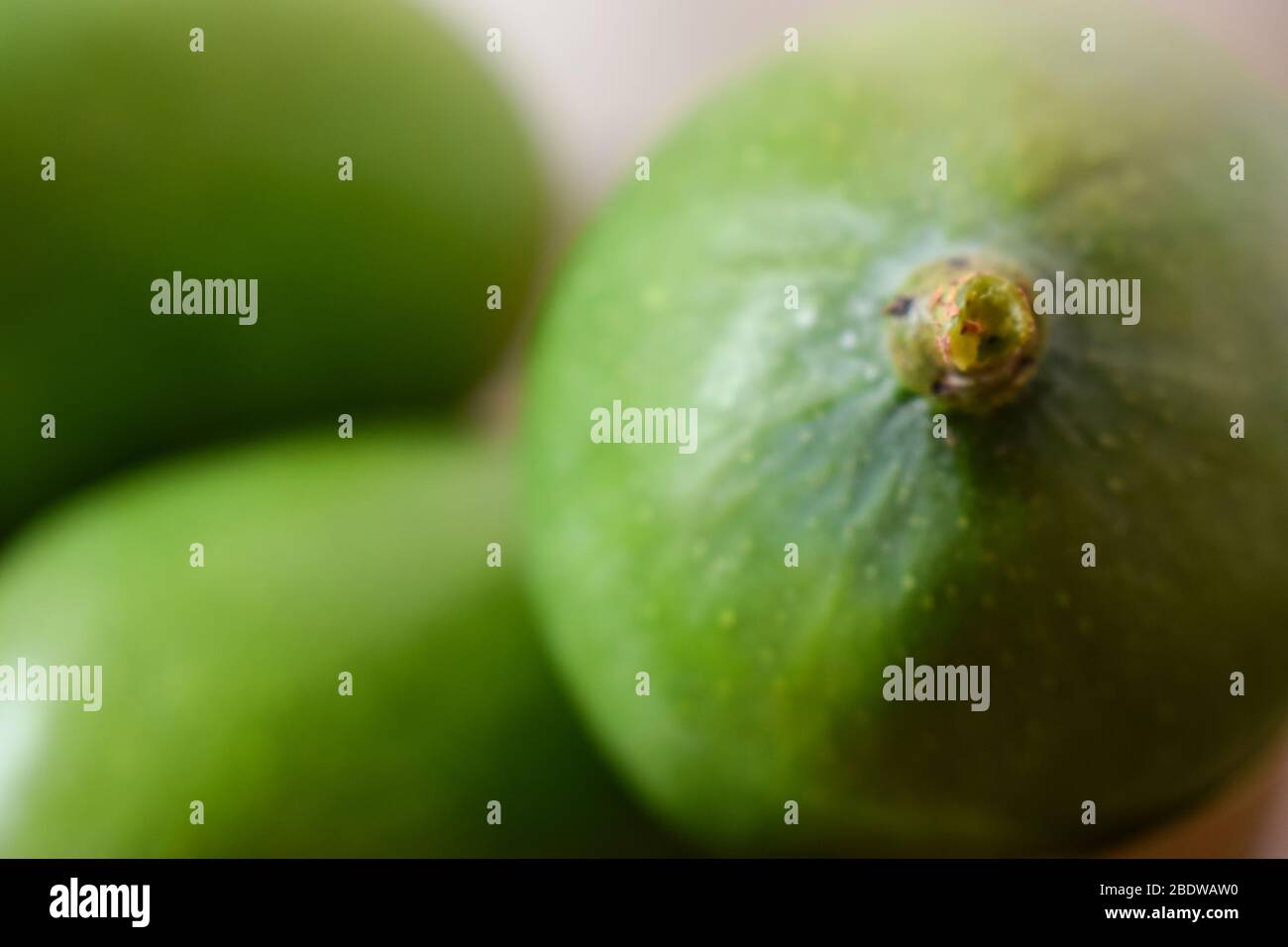 Branche de jeunes mangues vertes bio Macro isolée sur les fruits aigre de table en bois. Banque D'Images