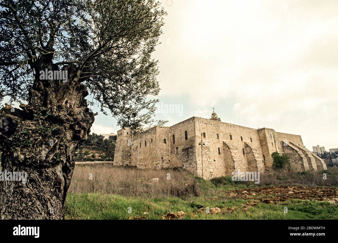 Monastère de la Croix (Monastère de la Sainte Croix) est un monastère orthodoxe oriental dans la vallée de la Croix, Jérusalem, Israël Banque D'Images