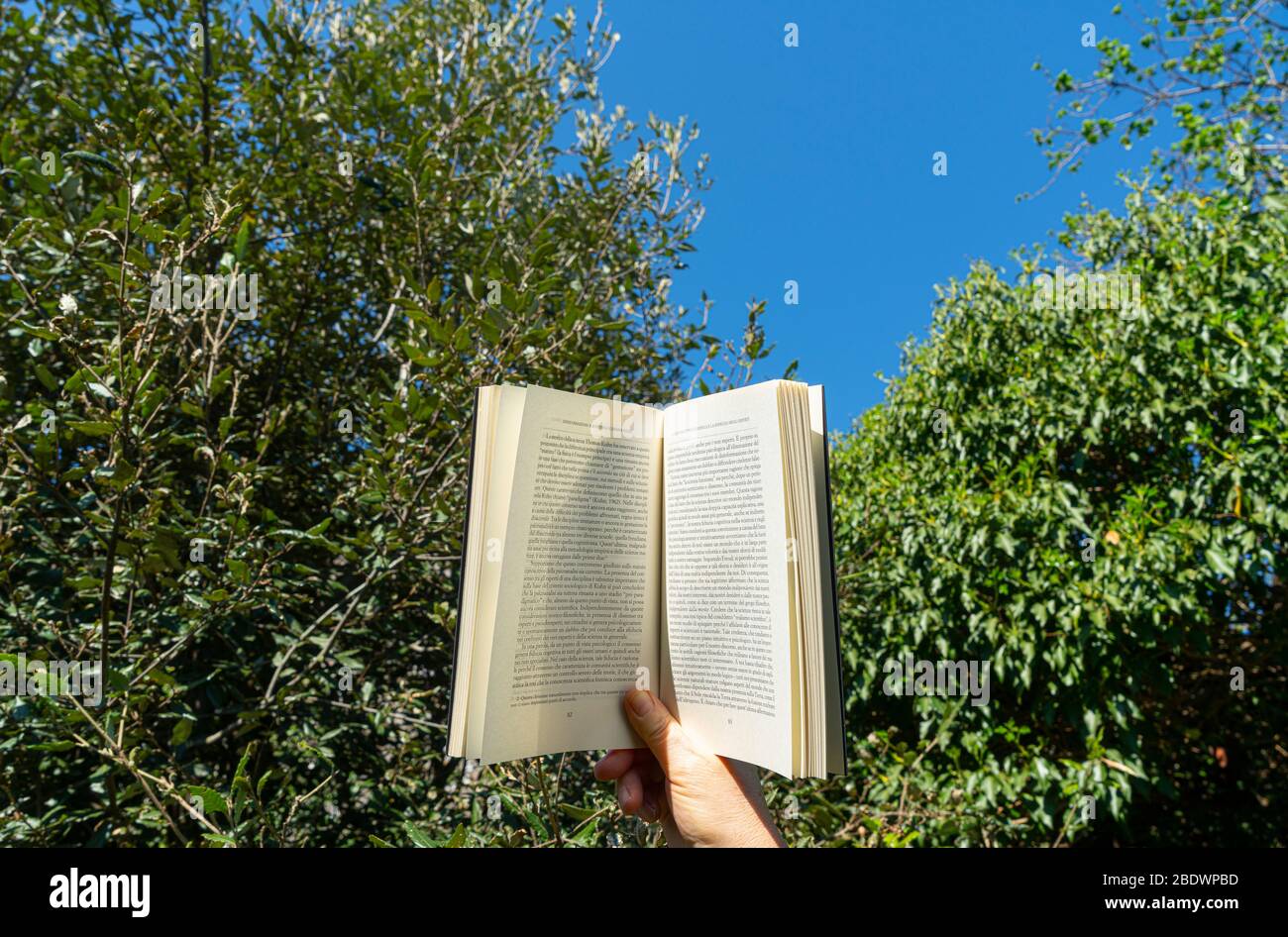 Lisez un livre couché sur l'herbe dans le jardin pendant la distance sociale de Coronavirus Banque D'Images