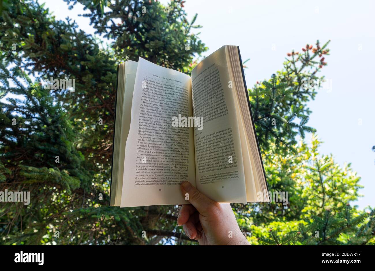 Lisez un livre couché sur l'herbe dans le jardin pendant la distance sociale de Coronavirus Banque D'Images