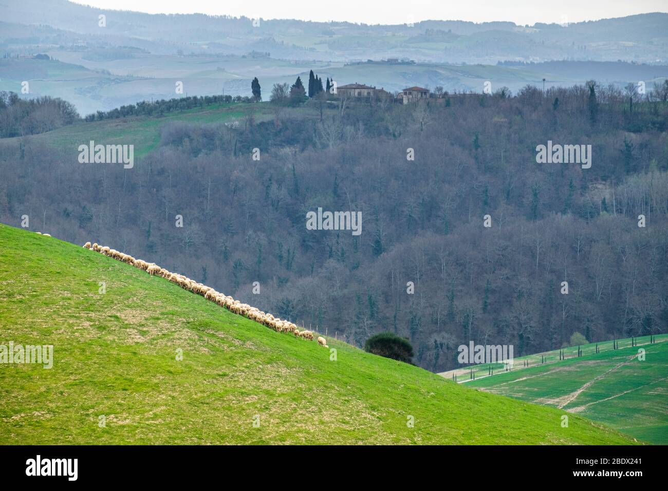 San Quirico, Val d'Orcia, Toscane, Italie Banque D'Images