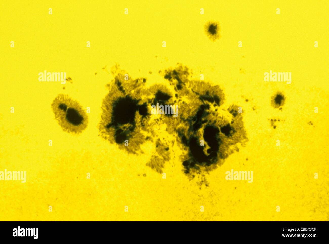 Groupe Sunspot Banque D'Images