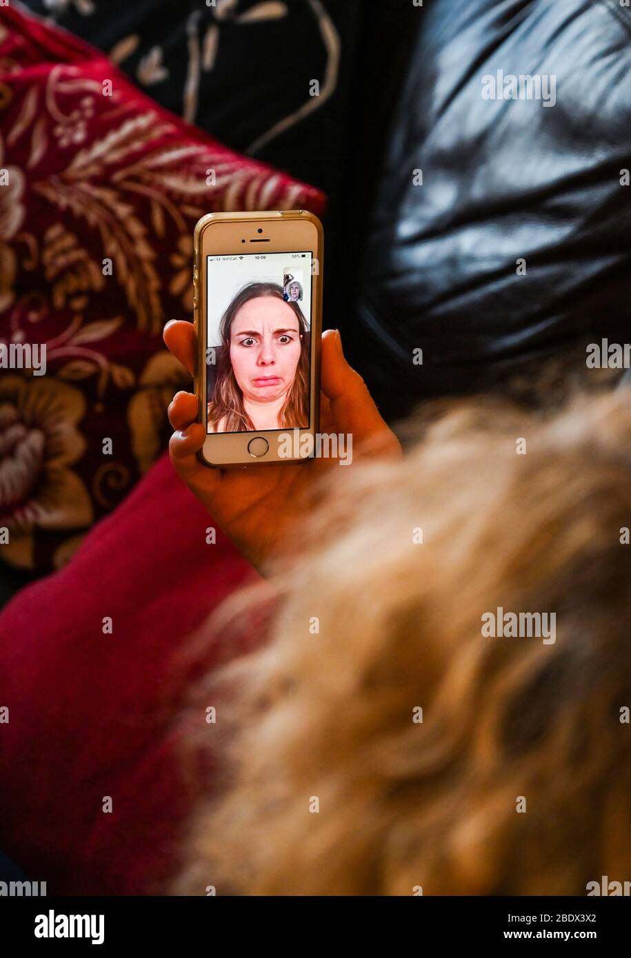 Jeune femme parlant à la mère sur l'iPhone d'Apple en utilisant FaceTime pendant le verrouillage du coronavirus UK photo prise par Simon Dack Banque D'Images