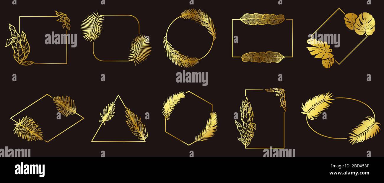 Cadres de feuilles dorées. Cadre floral doré, étiquette de bijoux de feuilles tropicales et feuilles bordées ensemble vectoriel Illustration de Vecteur