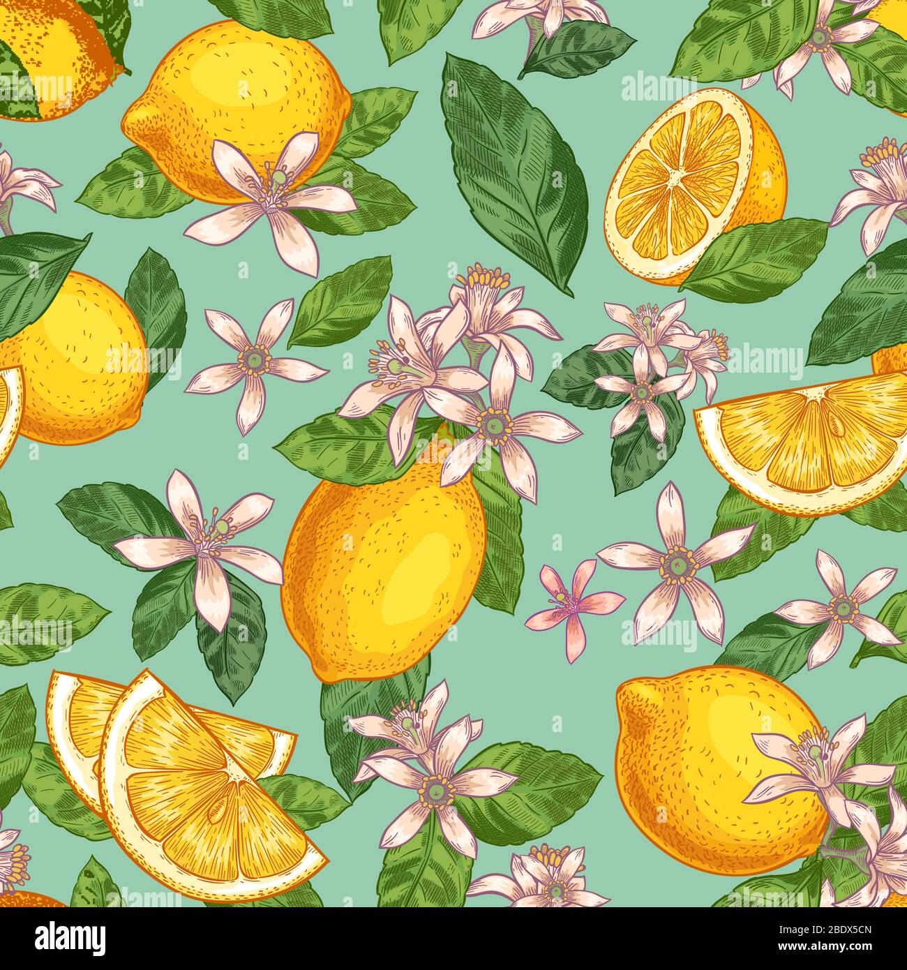 Motif fleuri au citron sans coutures. Citrons jaunes dessinés à la main avec feuilles vertes et agrumes. Illustration vectorielle de fruits de jardin botanique Illustration de Vecteur