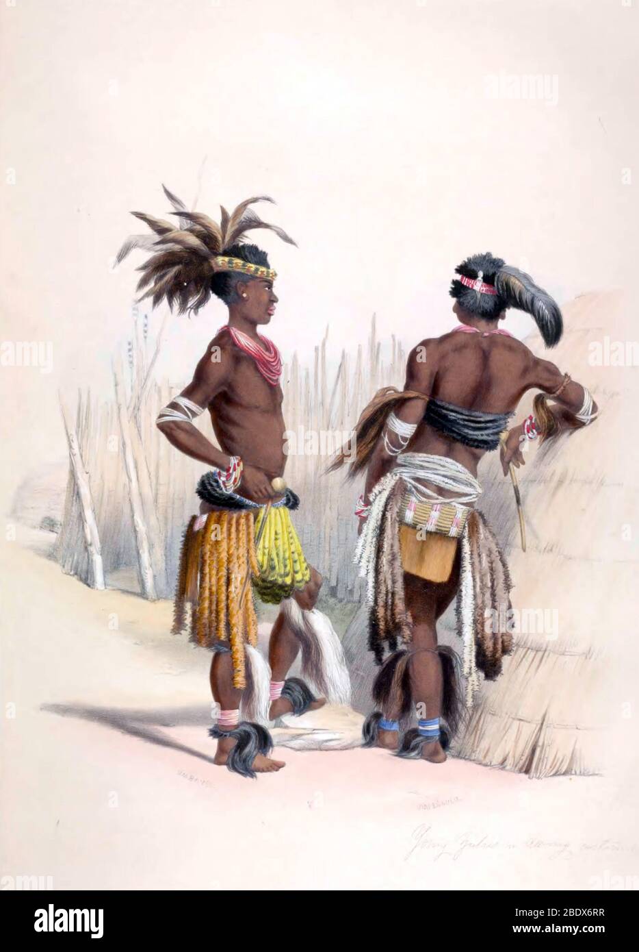 Afrique du Sud, costumes de danse Zulu Warriors, 1840 Banque D'Images