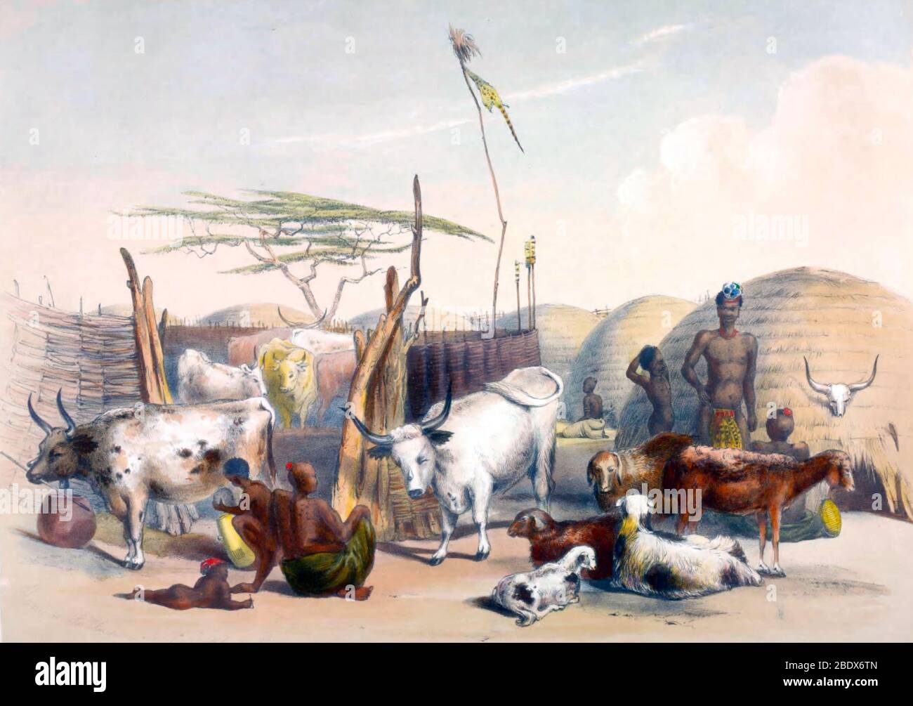 Afrique du Sud, Zulu Kraal, 1840 Banque D'Images