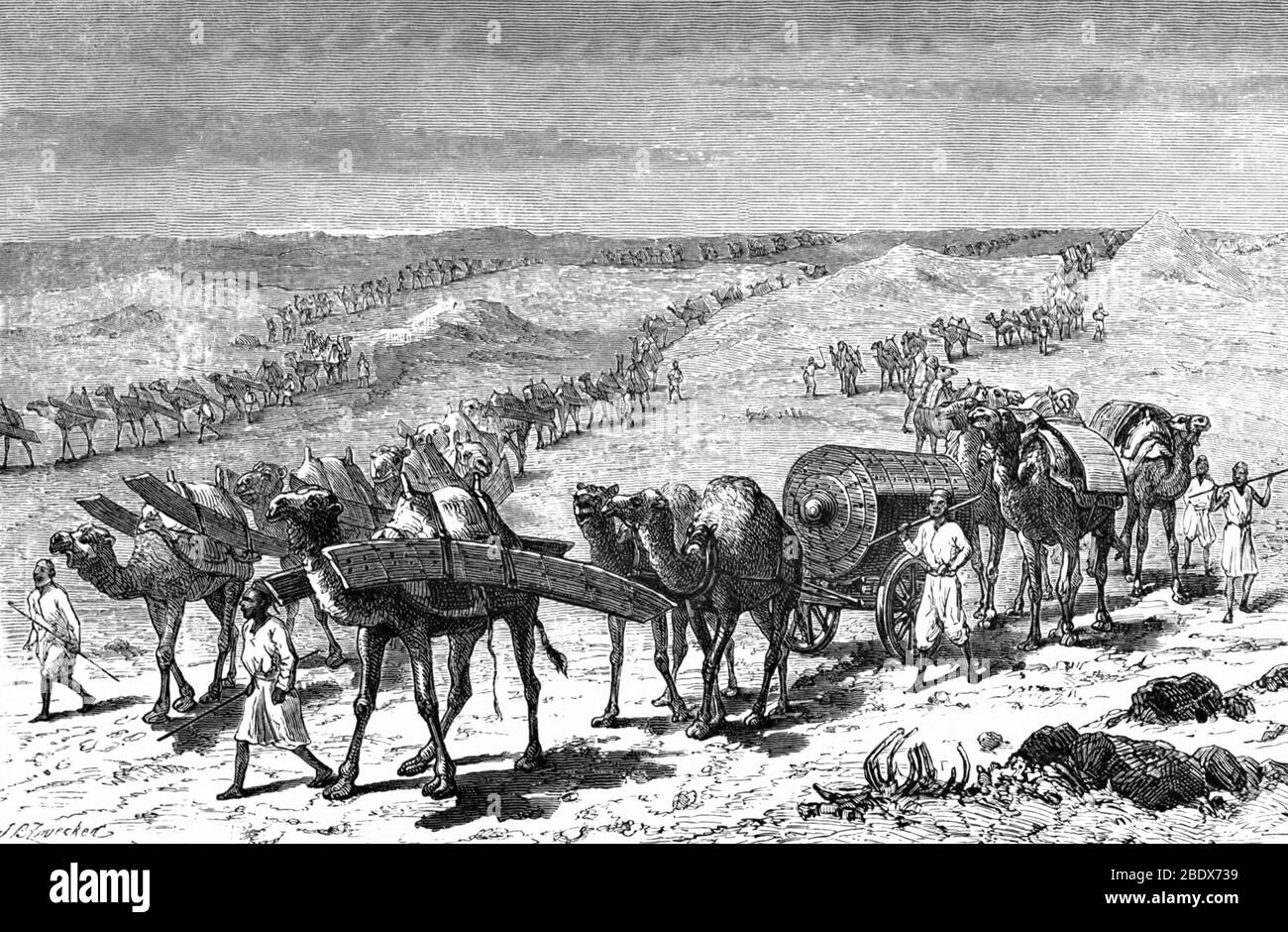 Expédition militaire Samuel Baker, Camel Transport, XIXe siècle Banque D'Images