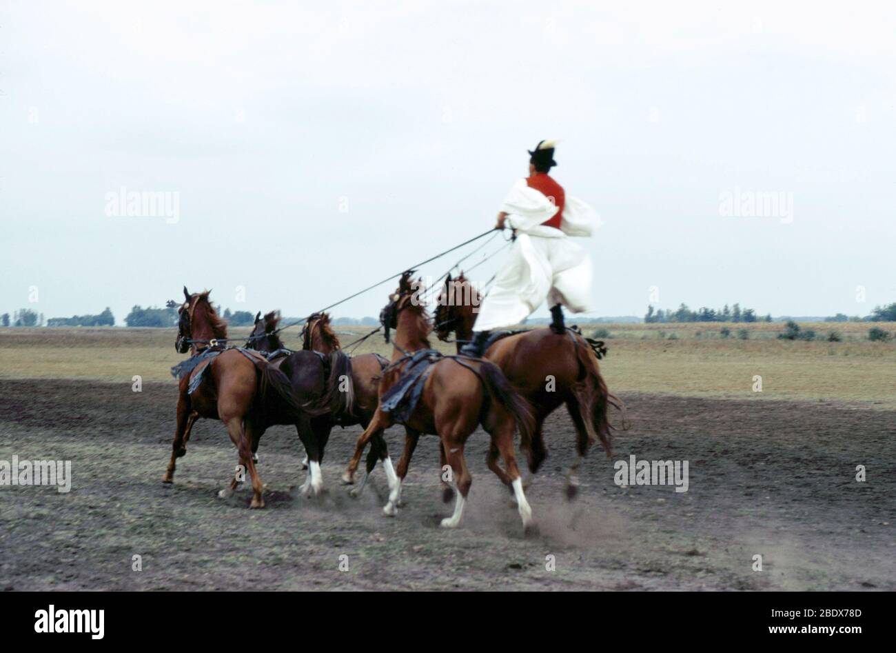 Cavaliers dans la Puszta, Hongrie Banque D'Images