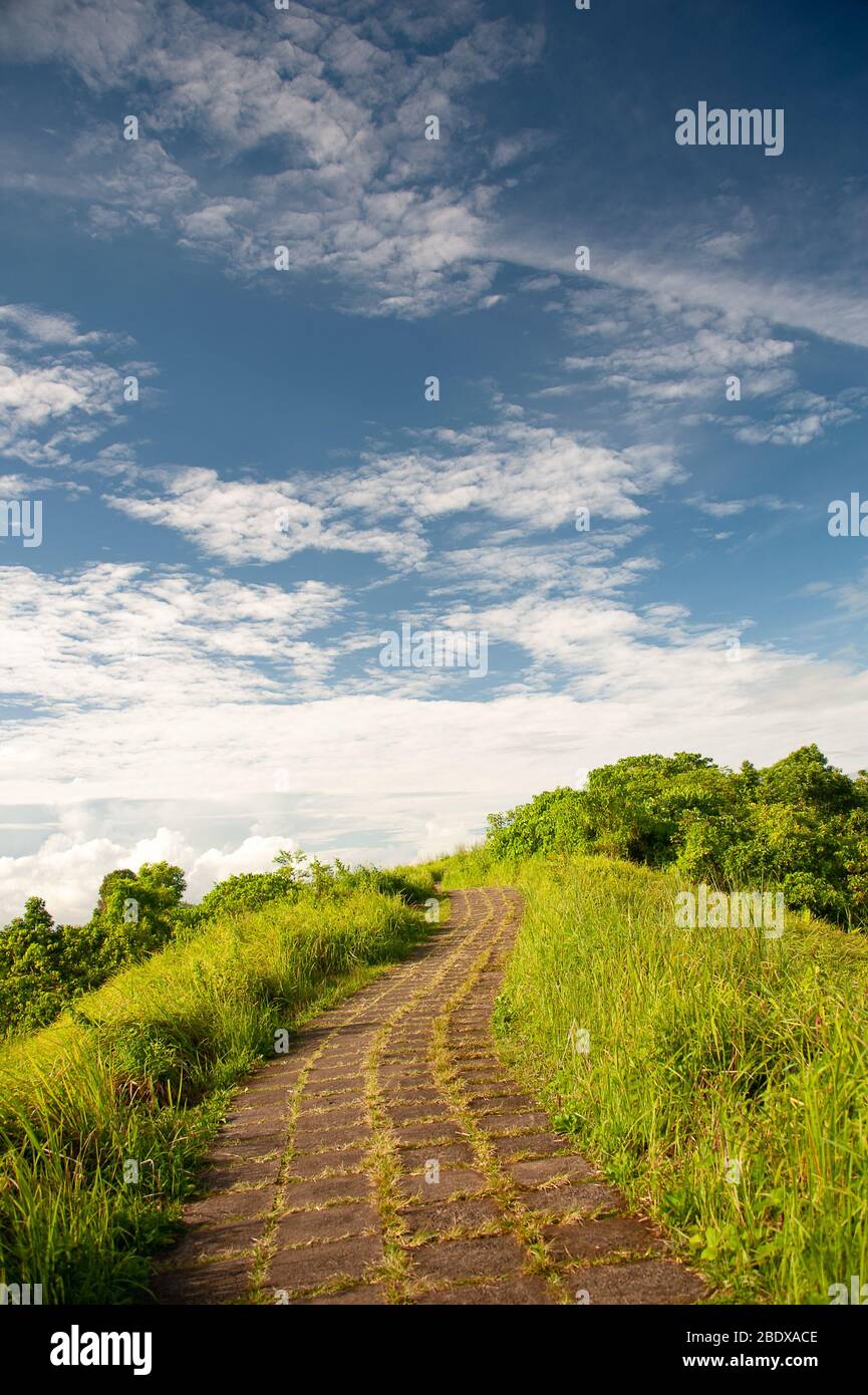 Campuhan Ridge à pied, Ubud, Bali, Indonésie. Sentier nature pittoresque, une forêt luxuriante et fond de ciel bleu Banque D'Images