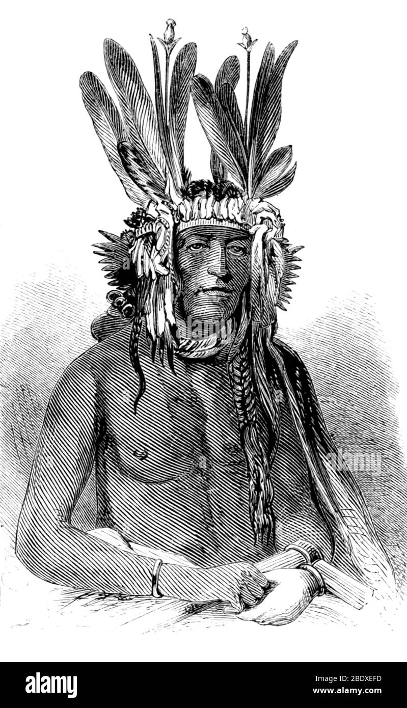 En chef des Indiens de Buffalo, Dakota Banque D'Images