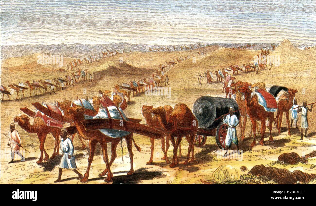Expédition militaire Samuel Baker, XIXe siècle Banque D'Images