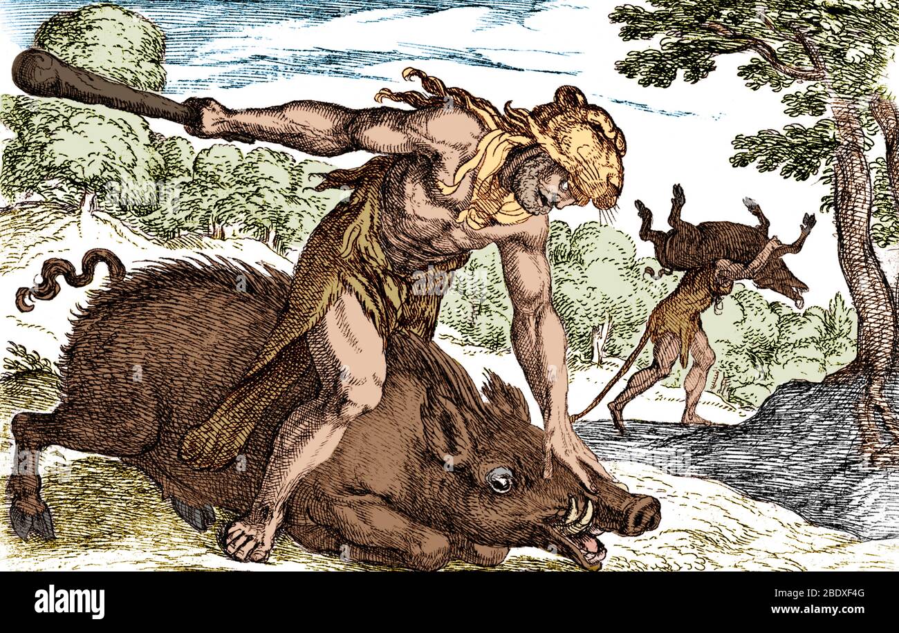 Labeurs d'Hercules, capture de la sanglante Erymanthienne Banque D'Images