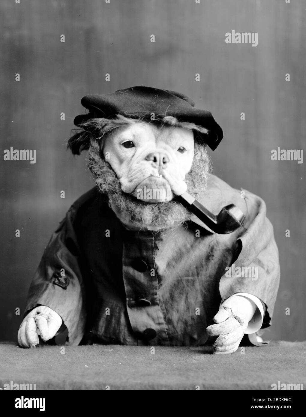Anthropomorphisme, chien de la vieille mer, 1905 Banque D'Images