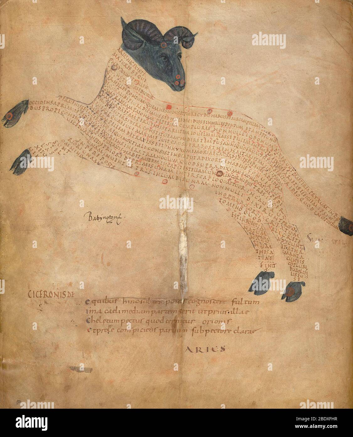 Aratea, Constellation des Bélies, IXe siècle Banque D'Images