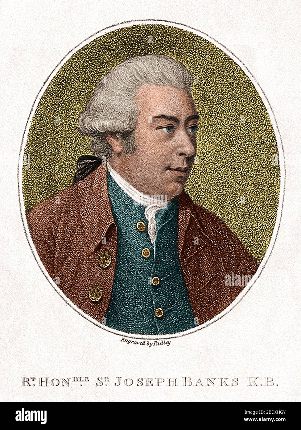 Joseph Banks, naturaliste anglais Banque D'Images