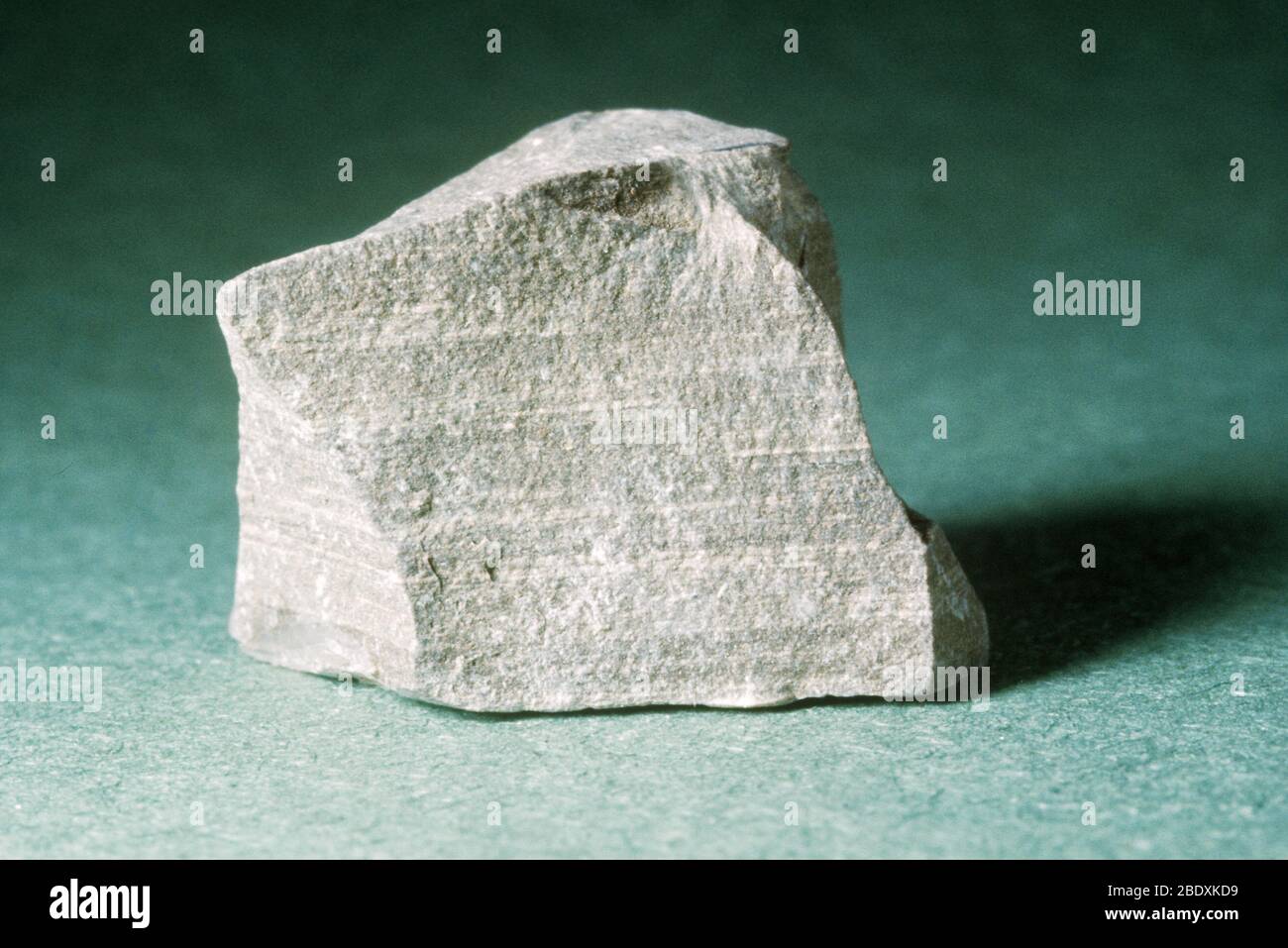 Schiste bitumineux, roche sédimentaire à grain fin contenant des traces significatives de kerogène (un mélange solide de composés chimiques organiques). Banque D'Images