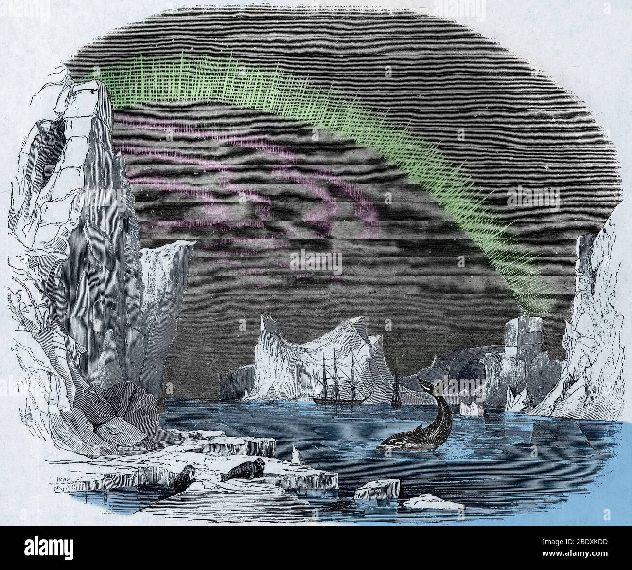 Icebergs et Aurora Borealis, 1849 Banque D'Images