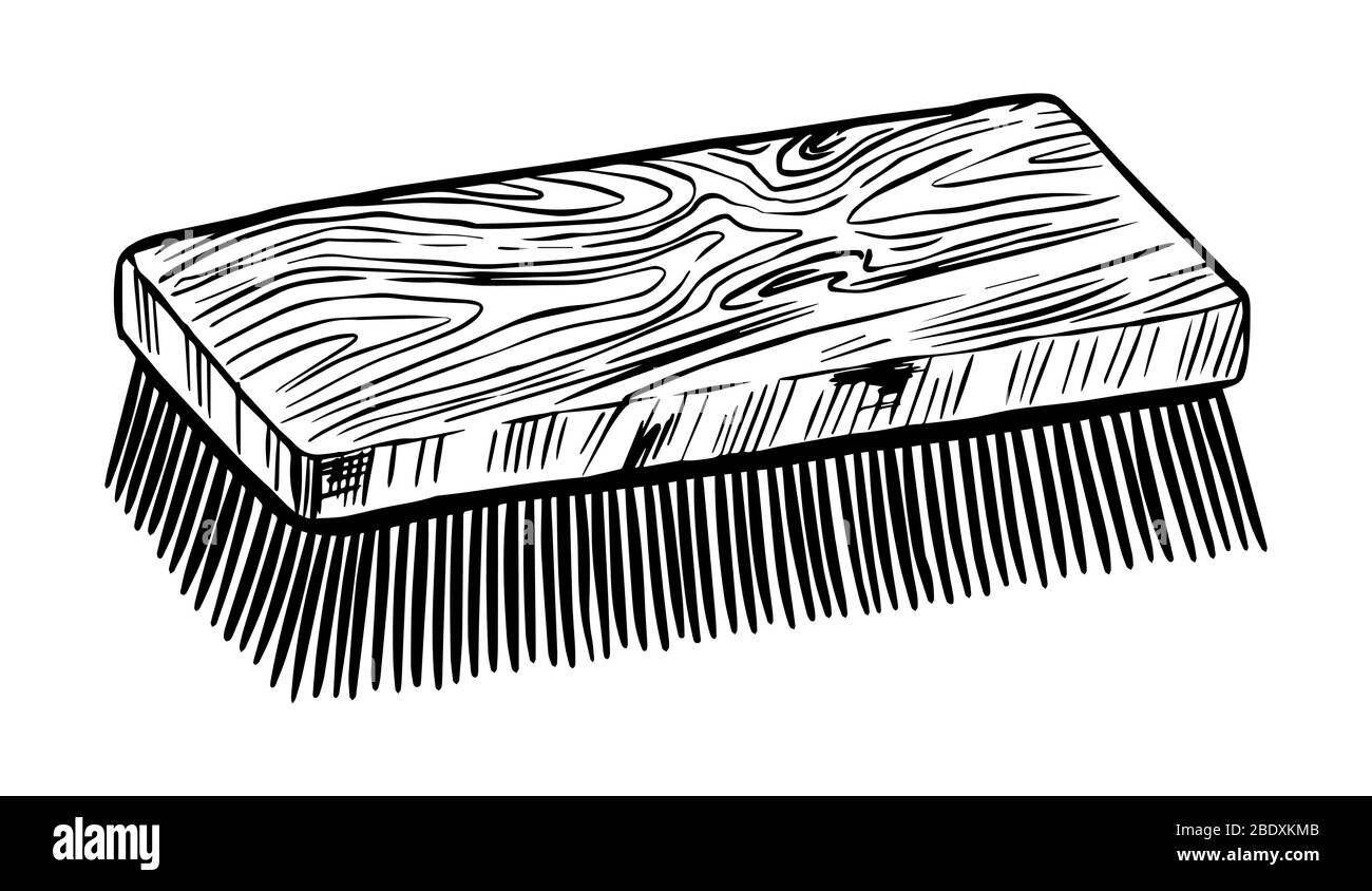 Brosse de nettoyage pour chaussures ou chevaux. Étiquette vintage. Croquis gravé à la main pour T-shirt, logo ou insignes. Illustration de Vecteur
