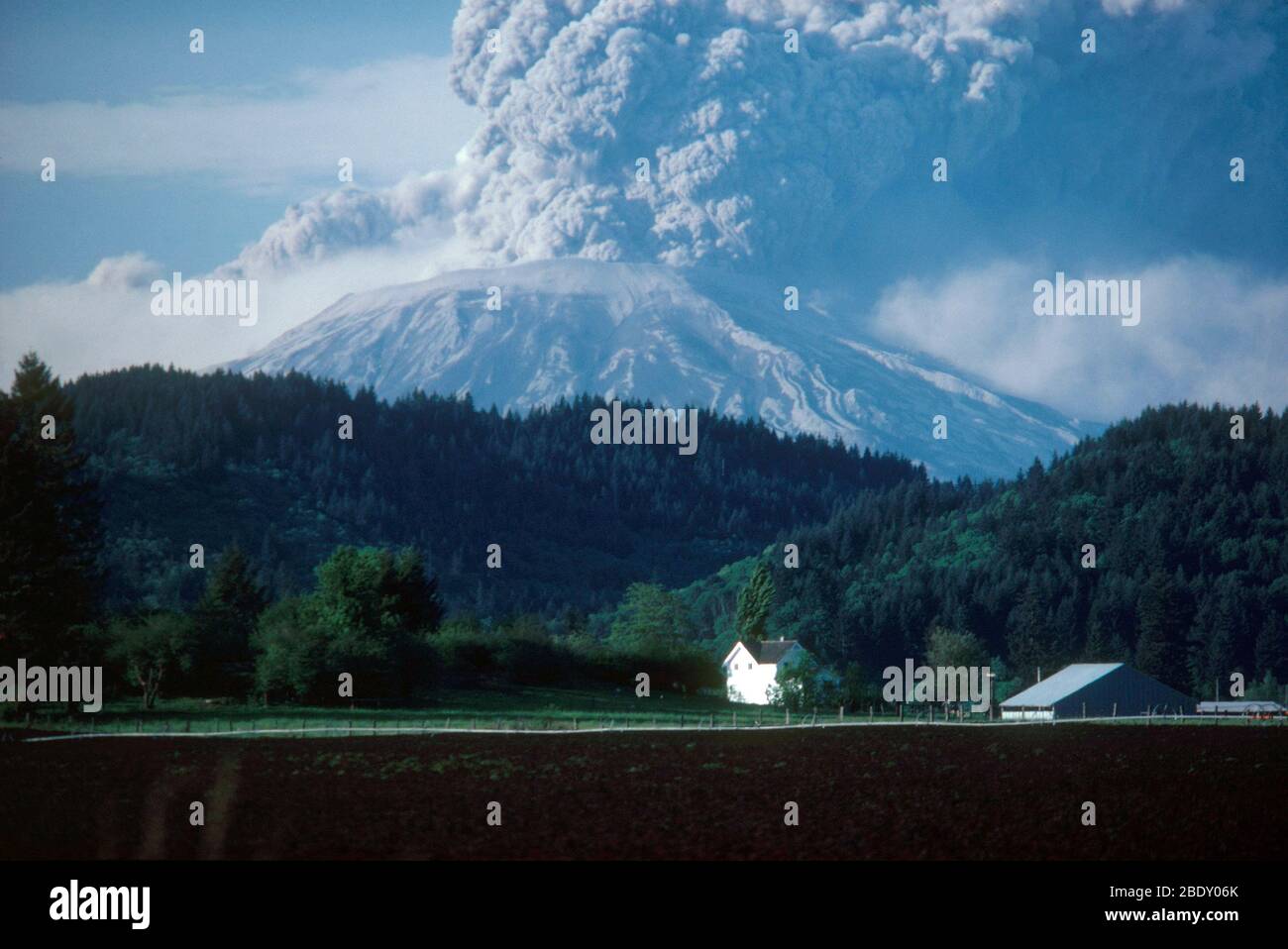 Des panaches géantes de cendres volcaniques s'enversent du Mont Saint-Helens le jour de sa grande éruption, le 18 mai 1980. Banque D'Images
