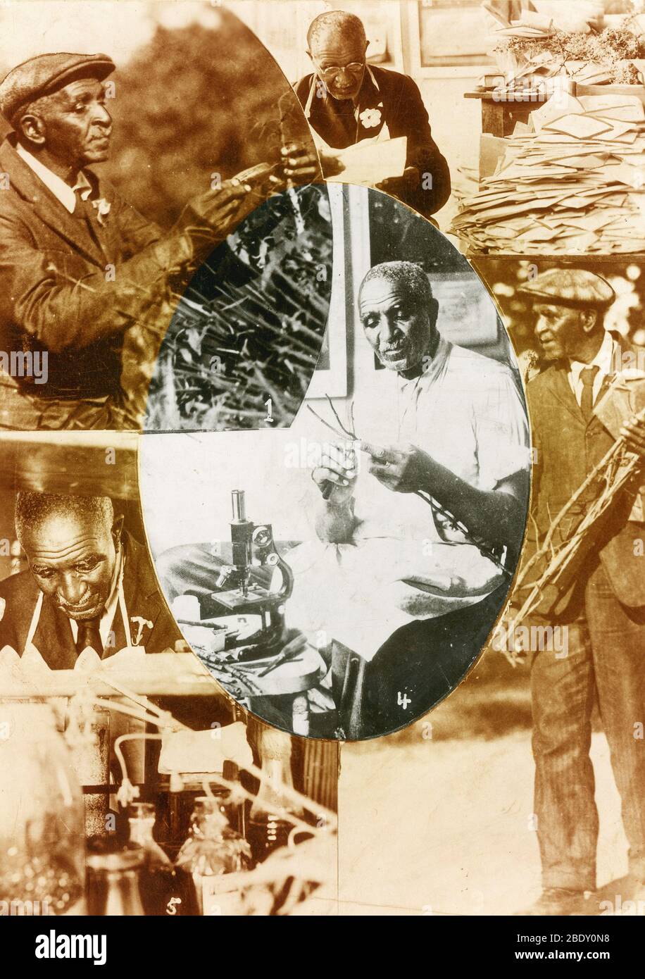 George W. Carver, scientifique américain Banque D'Images