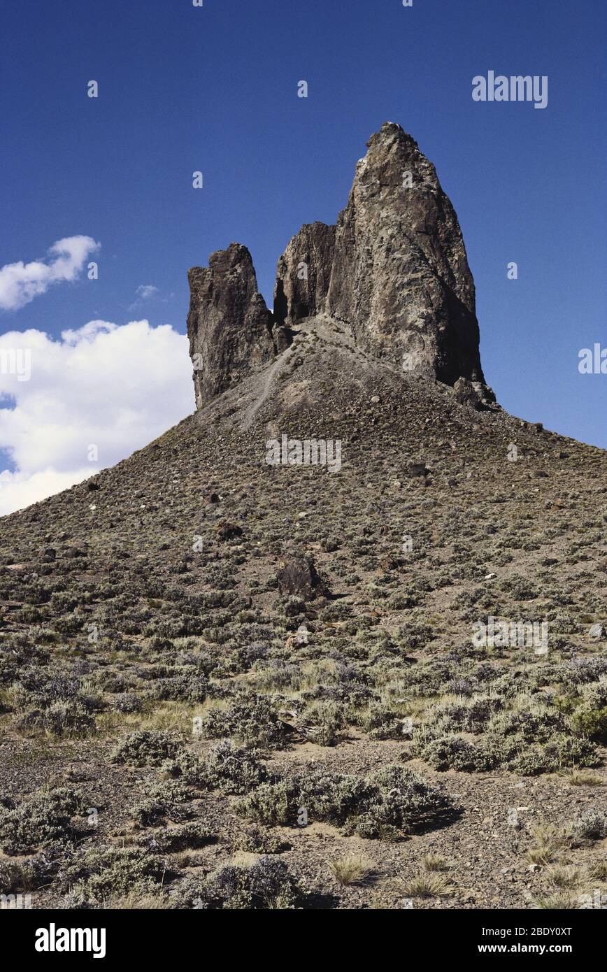 Tusk de Boar, Wyoming Banque D'Images