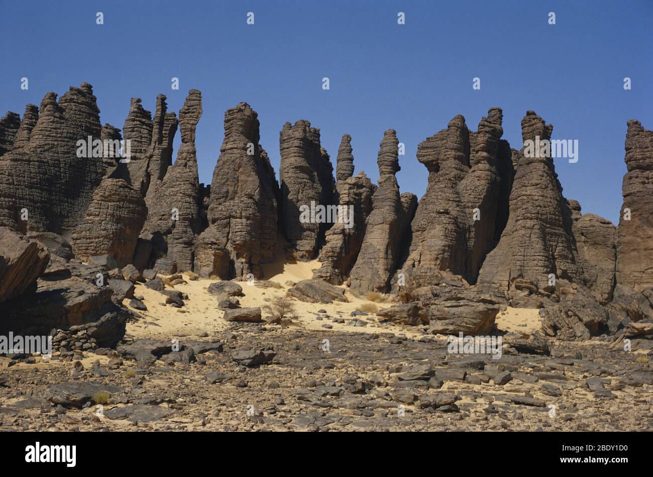 Roches érodées par le vent, Tassili n'Ajjer, dans le désert du Sahara, en Algérie. Banque D'Images