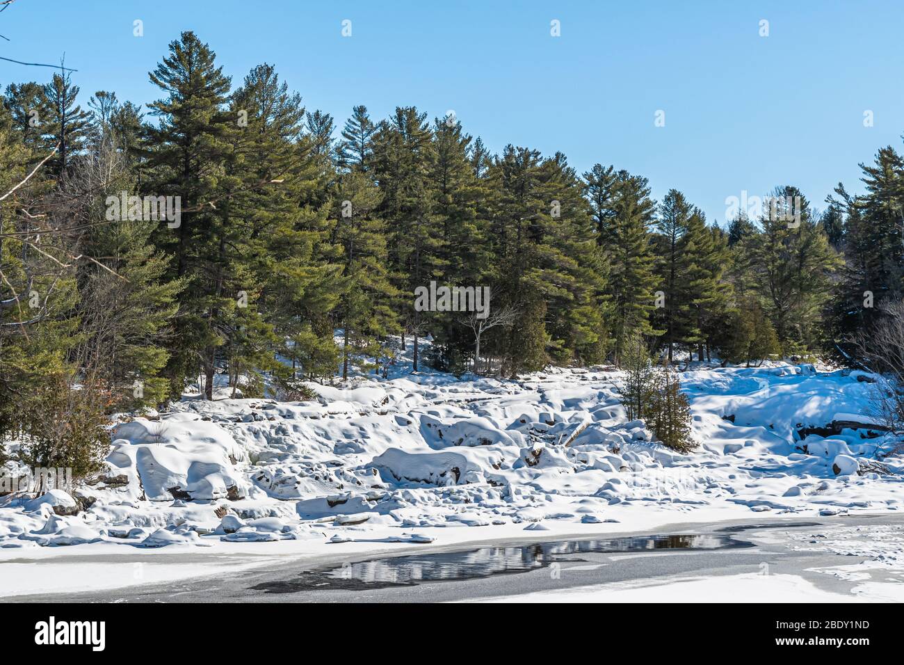 Zone de conservation de Bracebridge Muskoka Algonquin Highlands Bracebridge Ontario Canada in hiver Banque D'Images