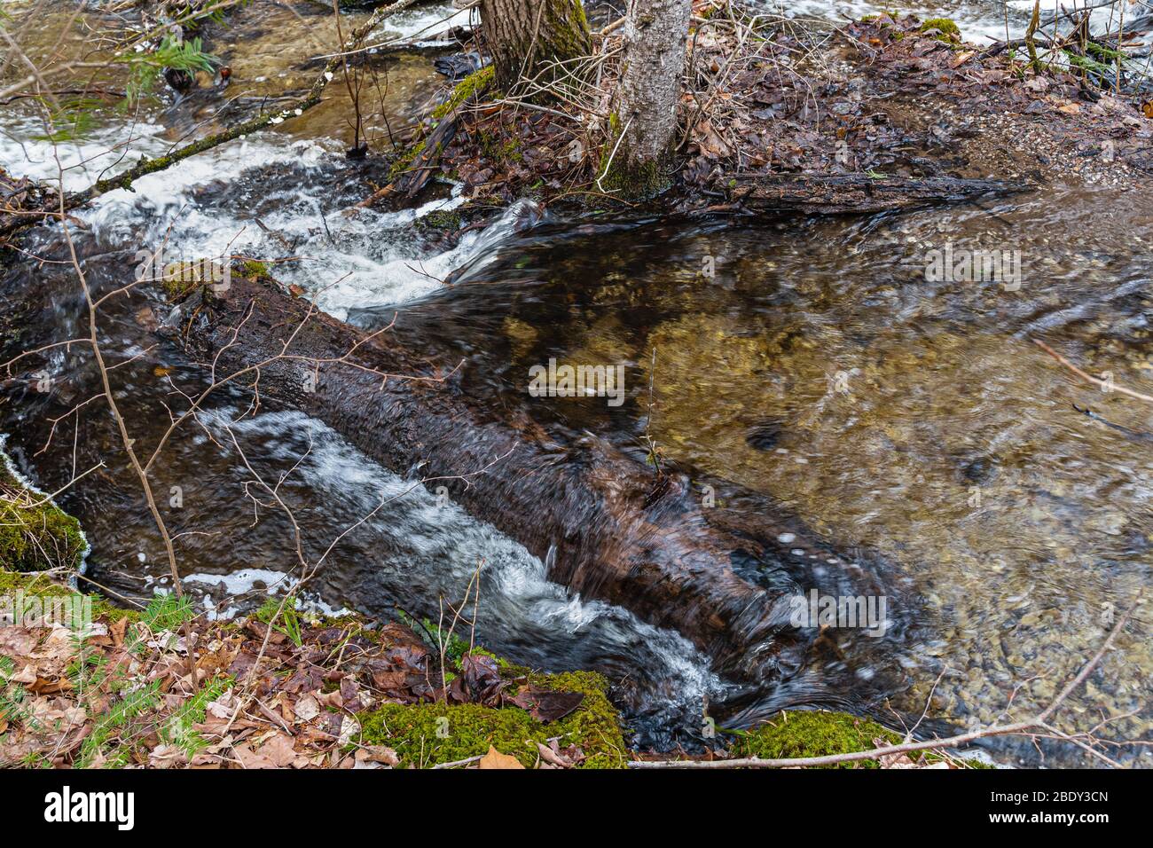 Parc national de la Péninsule-Bruce, Grotto & Indian Head Cove Parc national Fathon Five Tobermory Ontario Canada en hiver Banque D'Images