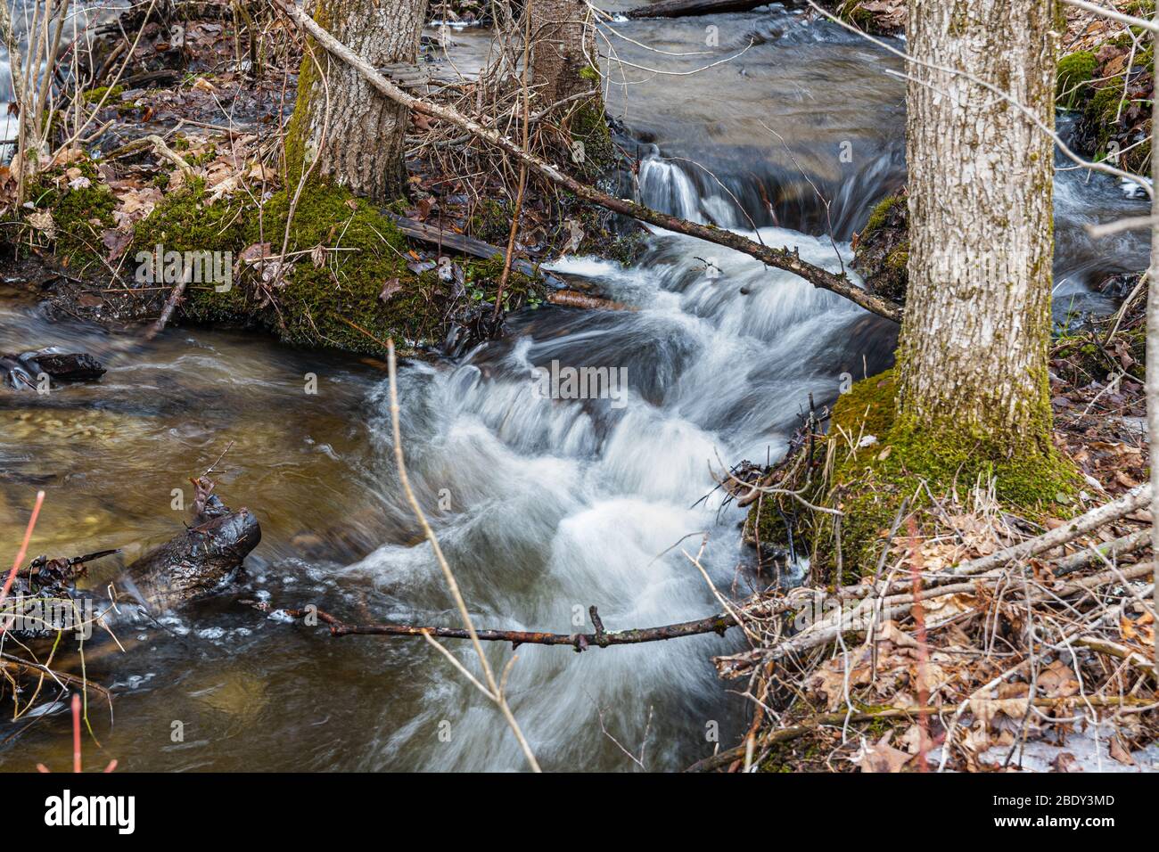 Parc national de la Péninsule-Bruce, Grotto & Indian Head Cove Parc national Fathon Five Tobermory Ontario Canada en hiver Banque D'Images