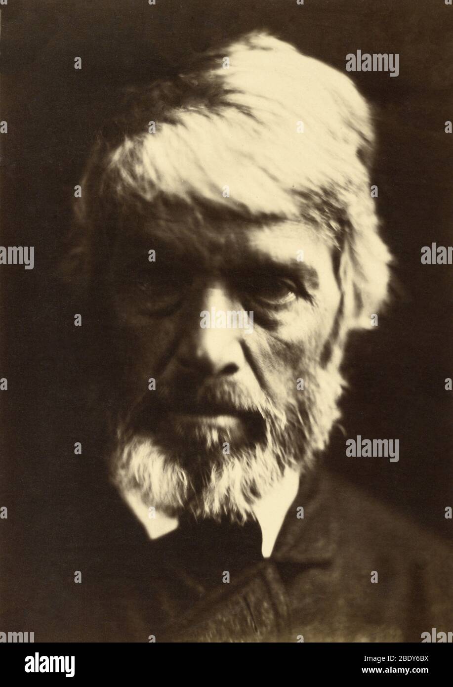 Thomas Carlyle par Julia Margaret Cameron, 1867 Banque D'Images