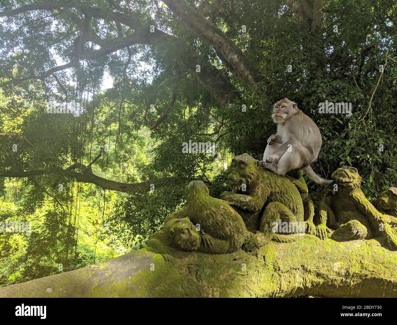 Bali Indonésie Ubud Monkey Forest famille. Bali Indonésie Ubud célèbre forêt de singe famille. Singe balinais assis sur une sculpture en pierre de singes Banque D'Images