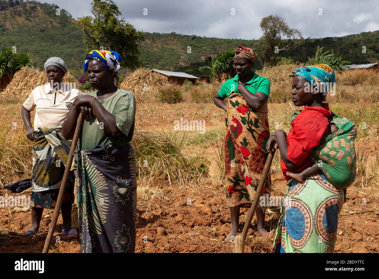 Un groupe de femmes agriculteurs de subsistance dans le nord du Malawi Banque D'Images
