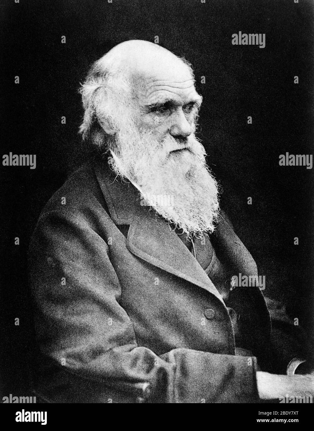Charles Darwin, Naturaliste anglais Banque D'Images