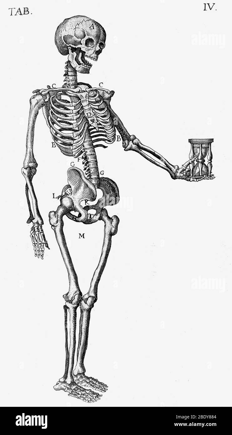 Squelette avec Hourglass, XVIe siècle Banque D'Images