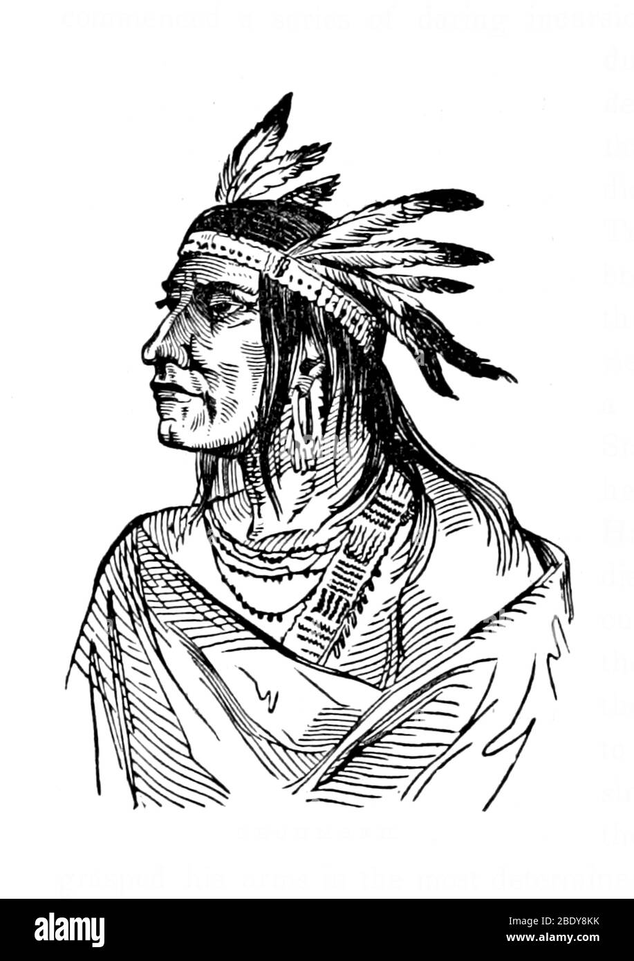 Tecumseh, responsable indien de Shawnee Banque D'Images