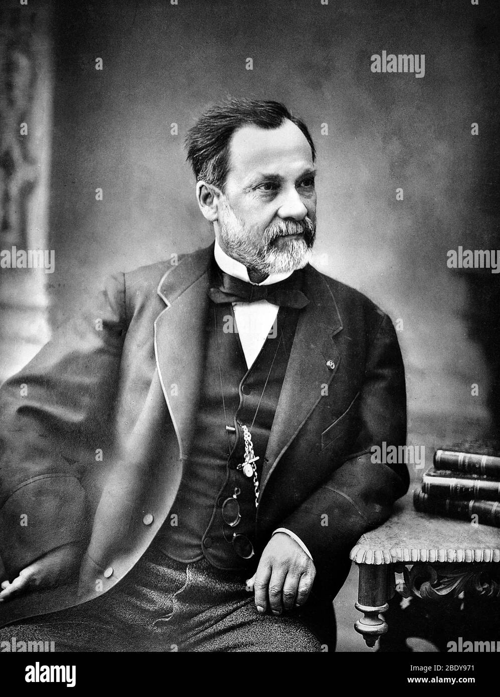 Louis Pasteur, microbiologiste et chimiste Banque D'Images
