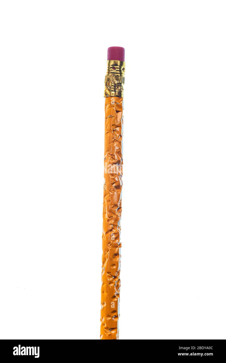 Photo verticale de l'extrémité de la gomme d'un crayon à mâcher au centre de l'image. Fond blanc. Espace de copie. Banque D'Images