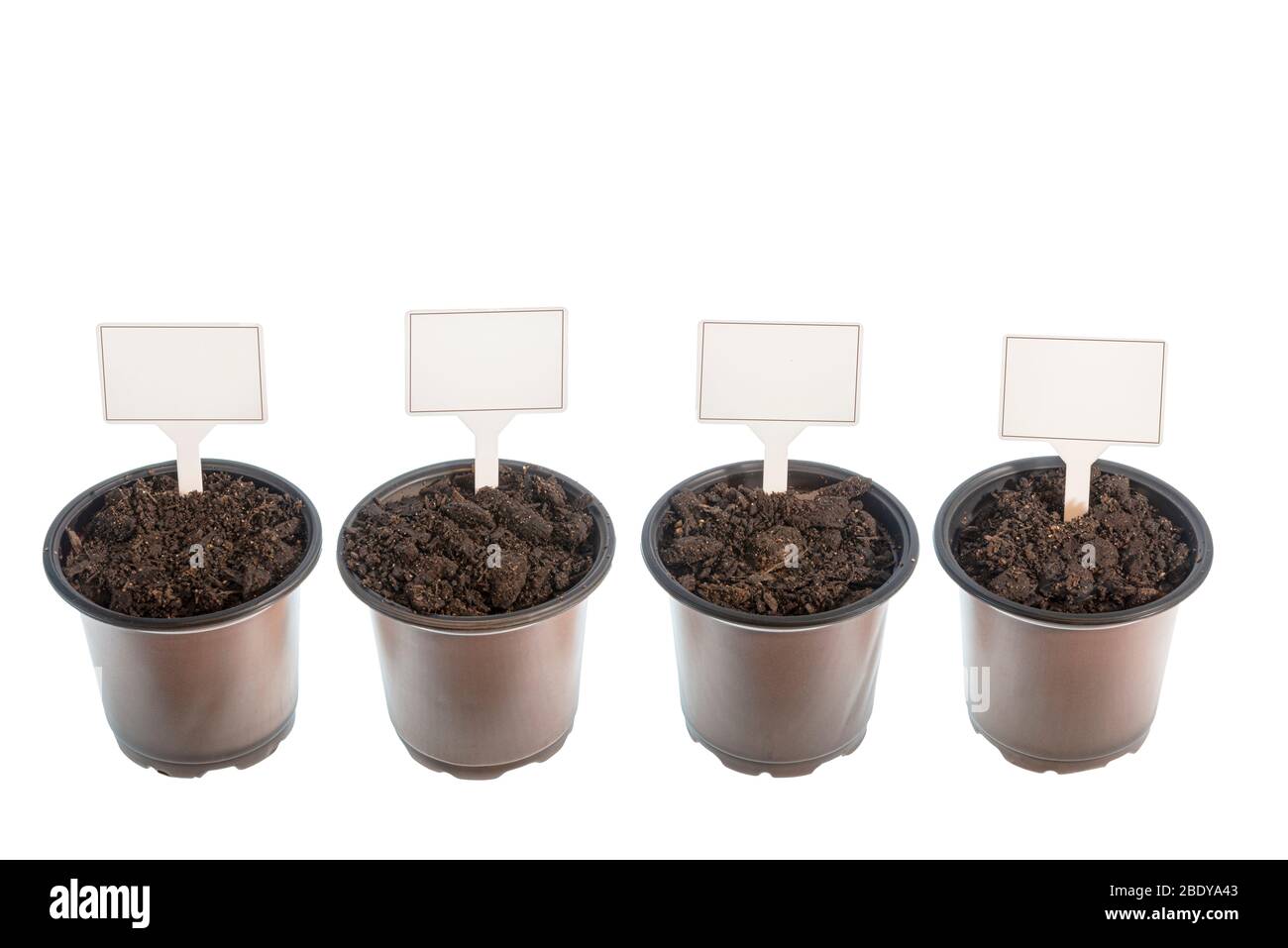 Tir horizontal de quatre récipients de potage prêts pour les graines avec des signes vierges. Fond blanc. Banque D'Images
