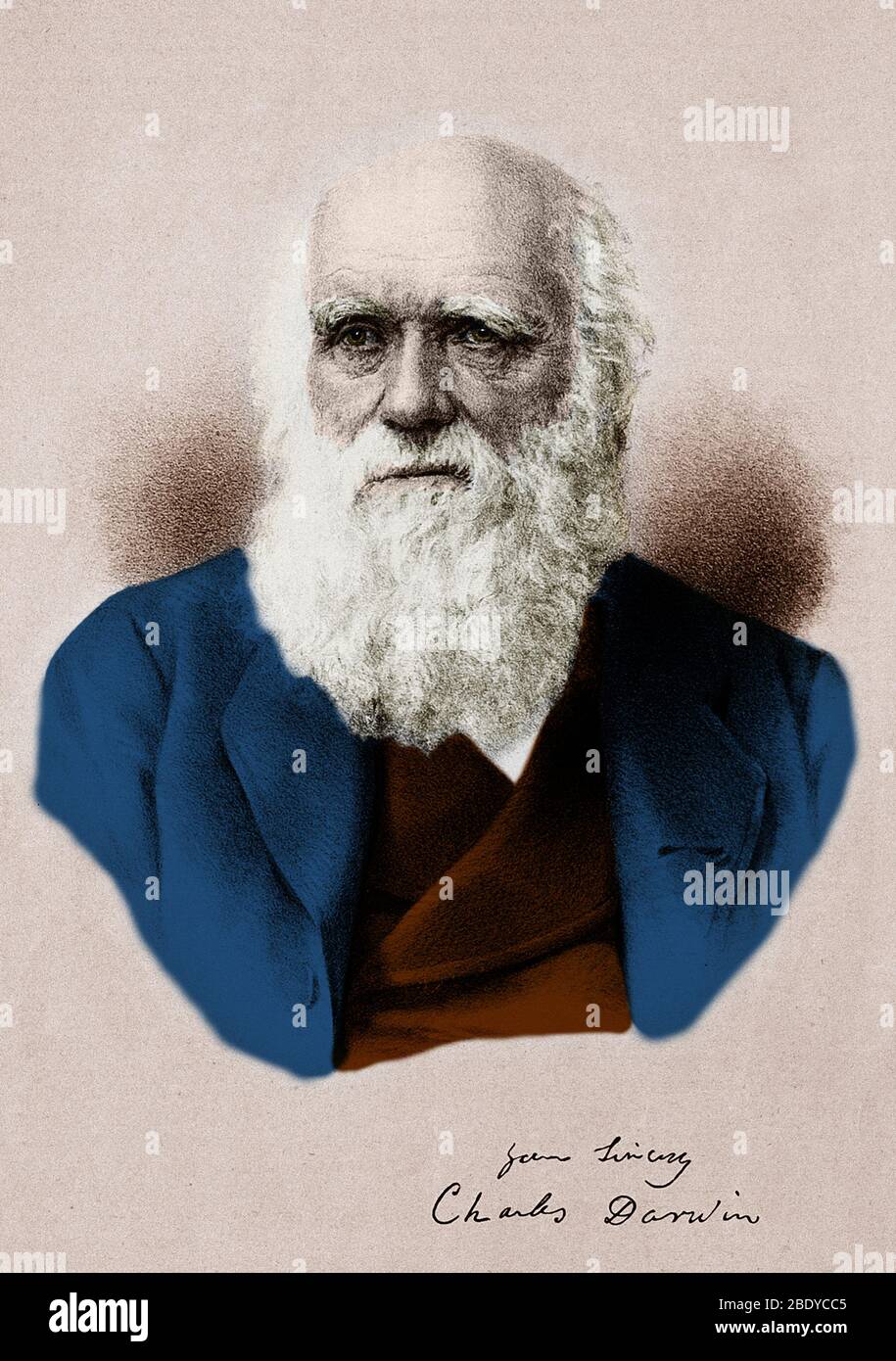 Charles Darwin, Naturaliste anglais Banque D'Images
