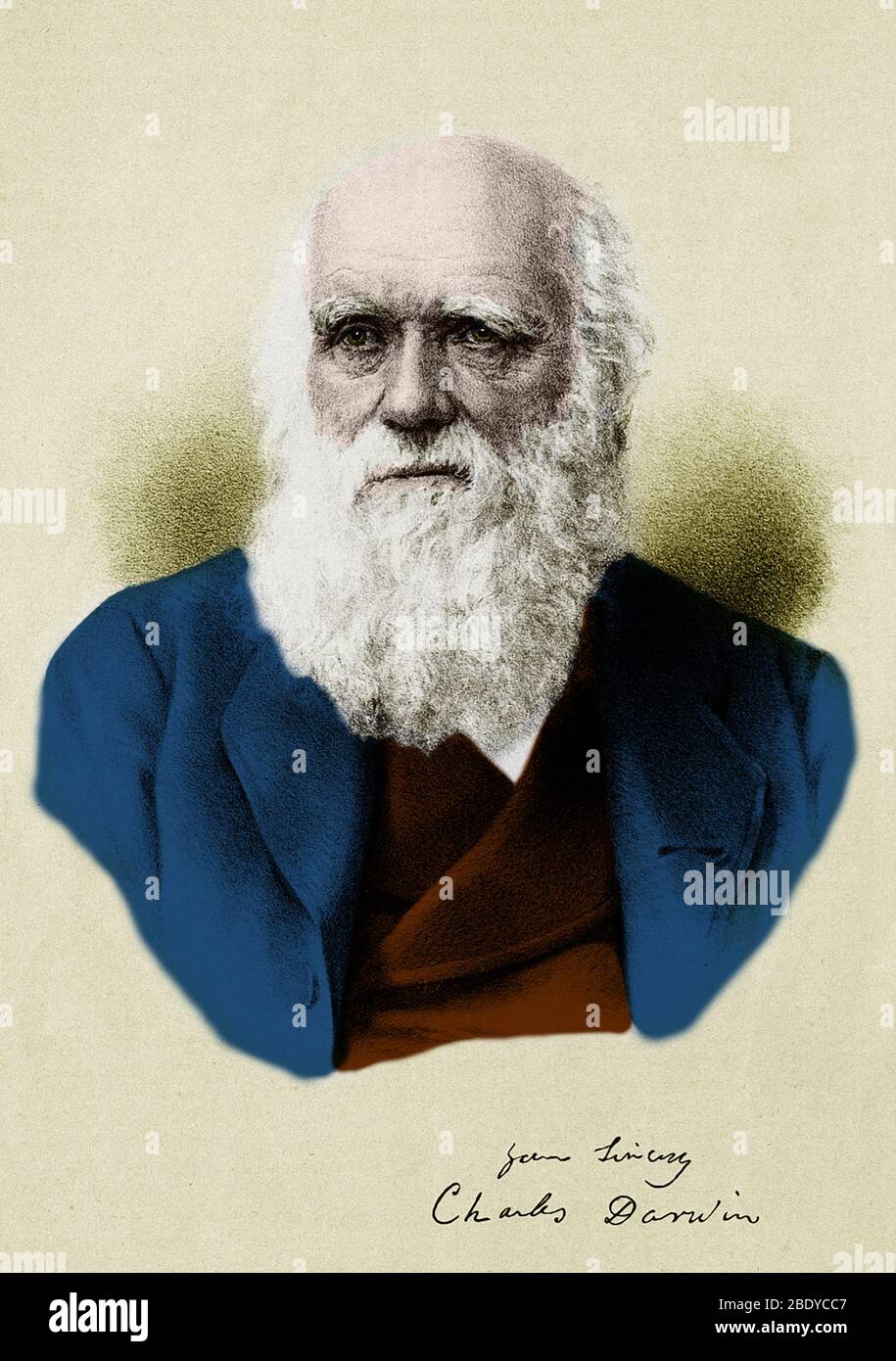 Charles Darwin, Naturaliste anglais Banque D'Images